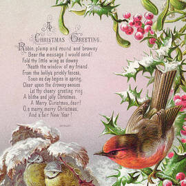 Victorian Christmas and New Year card of a robin and two birds in a snowy scene by English School