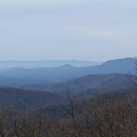 View from Springer Mountain by Paul Rebmann