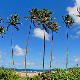 View Of Fiji