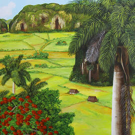 Vinales Valley by Dominica Alcantara