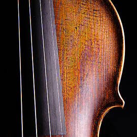 Violin Isolated on Black by M K Miller