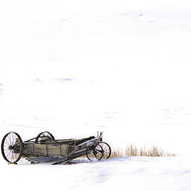 Wagon in a Field of Snow