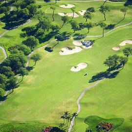 Wailea Gold and Emerald courses by Ron Dahlquist - Printscapes