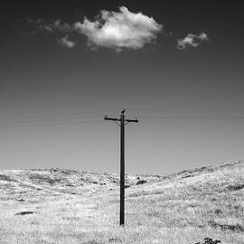 Warner Springs Utility Pole by William Dunigan