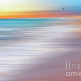 Water Abstraction II with Gulls by Kaye Menner by Kaye Menner