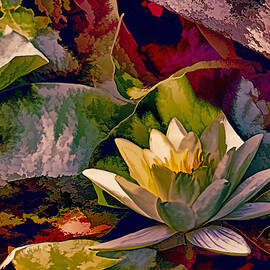 Water Lily In Living Color by Geraldine Scull