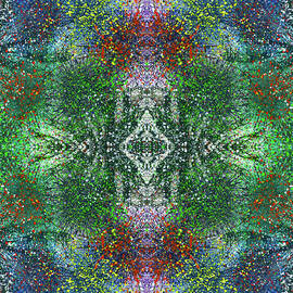 Wavelength Of Gratefulness #1491 by Rainbow Artist Orlando L