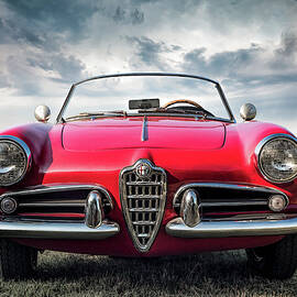 Web Slinger by Douglas Pittman