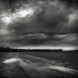 Wet Spring by Jaromir Hron