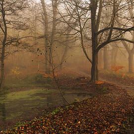 Which Path Ii by Leif L?ndal