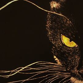 Whiskers the Cat by Olga Zavgorodnya