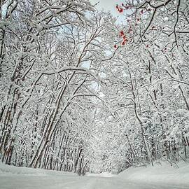 Whispers in Falling of Snow by Scott Wendt Tom Wierciak