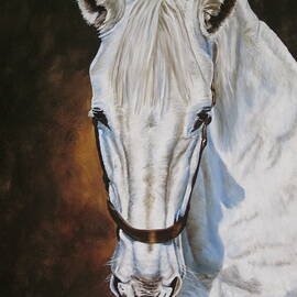 White Horse by Lillian Bell