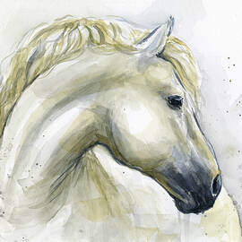 White Horse Watercolor by Olga Shvartsur
