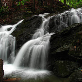 White Mountains Waterfall by Juergen Roth