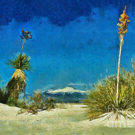 White Sands View by Elisabeth Lucas