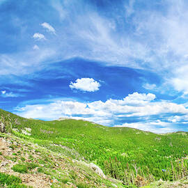 Wide Open Spaces by Mark Andrew Thomas