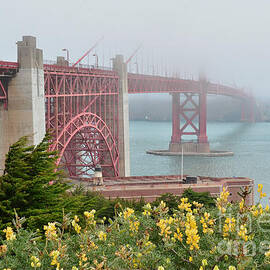 Windy Foggy Golden Gate Bridge  by Debby Pueschel