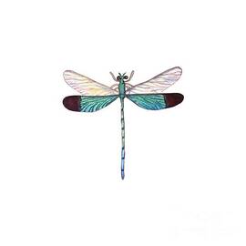Winged Jewels 1, Watercolor Tropical Dragonfly Aqua Blue Black by Audrey Jeanne Roberts