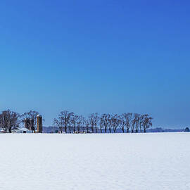 Winter Farm Blue Sky by Louis Dallara