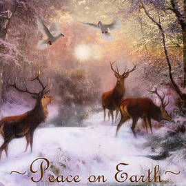 Winter Peace by Debra and Dave Vanderlaan