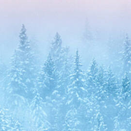 Winters Magic- Panorama by Joy McAdams