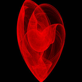 Within Shell II by Robert Krawczyk