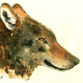 Wolf portrait by Juan  Bosco