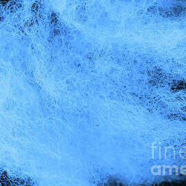 Wool Blue by Eddie Barron