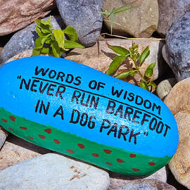 Words of Wisdom - Dog Park by Colleen Kammerer