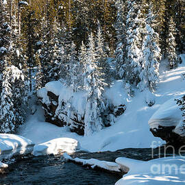 Yellowstone Winterscape Six by Bob Phillips