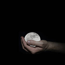 You've Got the Whole Moon in Your Hand by Pelo Blanco Photo