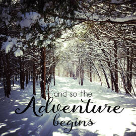 Adventure Begins by Andi Metz