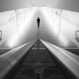 Alone by Filipe P Neto