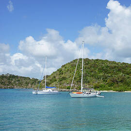Caribbean by Temmuzcan