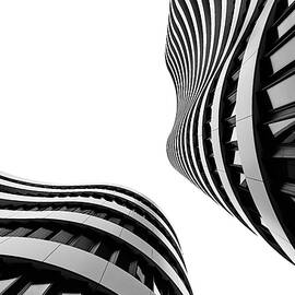 Curves And Patterns by Michael Echteld