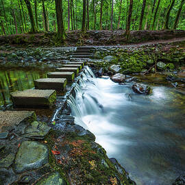 Footbridge over the the Shimna River made of stepping stones in the Tollymore Forest Park  by Miroslav Liska