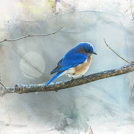 Eastern Bluebird In Art by Sandra Rust