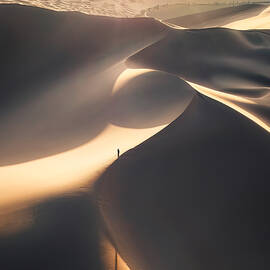 Exposed To The Sun by Yuan Cui