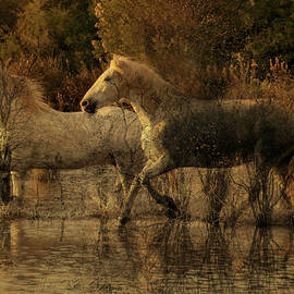 Fusion With Nature by Isabelle Dupont