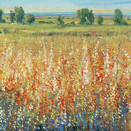 Gold And Red Field Ii by Tim O'toole