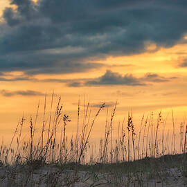 Hatteras Dunes by Robert Fawcett