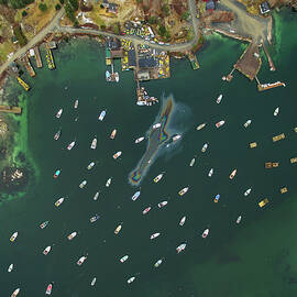 Lobster Boats In A Maine Harbor From Above by Cavan Images