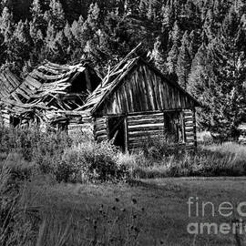 Miners Cabin by Steve Brown