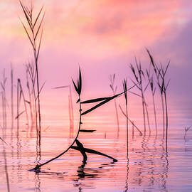 Posing by Ulrike Eisenmann