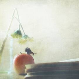 Reading Day by Delphine Devos