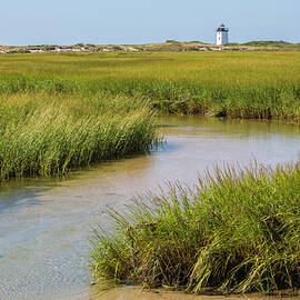 Salt Marsh Cord Grass On Shore Of Cape Cod, With Long Point by Phil Savoie / Naturepl.com