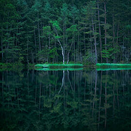 Silence by Gerald Macua