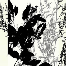 Small Translucent Wildflowers Ix by Jennifer Goldberger