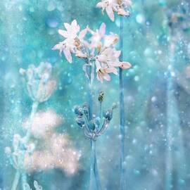 The Complex Magic Of Nature by Delphine Devos